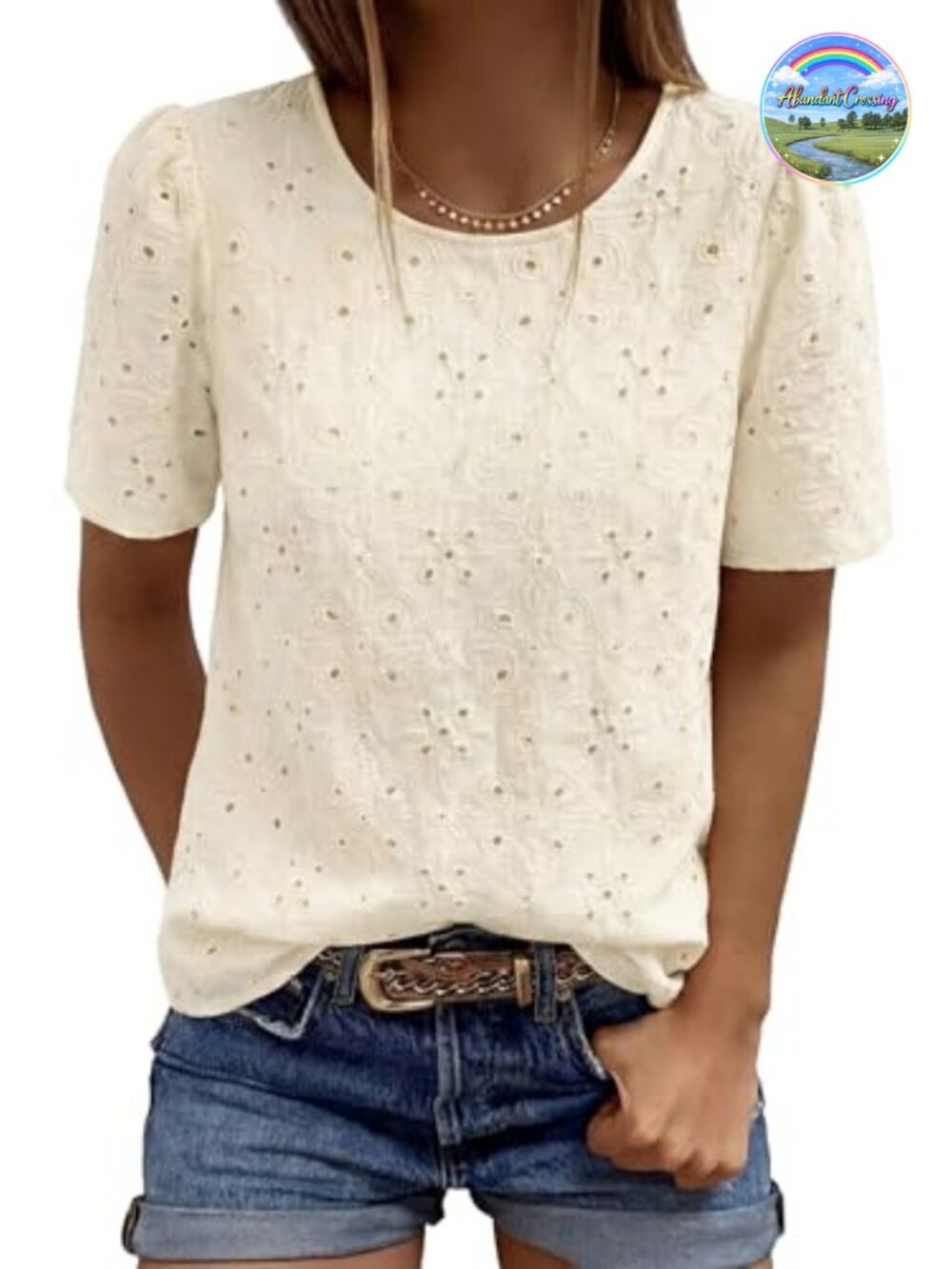 Eyelet Lace Blouse Puff Sleeve Crew Neck Office Top